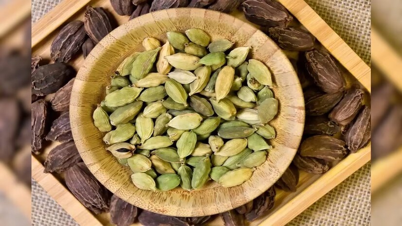 দাঁতের সুস্বাস্থ্য বজায় রাখে ছোট এলাচ৷ ব্যাকটেরিয়া দূর করে মুখের দুর্গন্ধ দূর করে৷ ওরাল হেল্থ ভাল রাখতে কাঁচা এলাচ চিবনো খুবই ভাল৷
