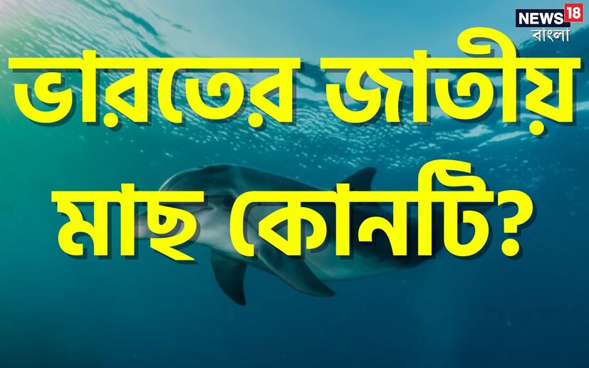 প্রতিযোগিতামূলক পরীক্ষা হোক বা স্কুল বা কলেজে ভর্তির পরীক্ষা। এমনকি যেকোনও সরকারি বা বেসরকারি চাকরির ইন্টারভিউয়ের জন্য পরীক্ষা। সাধারণ জ্ঞানের প্রশ্ন করা হয় সব ধরণের পরীক্ষায়।