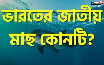 বলুন তো ভারতের জাতীয় মাছ কোনটি? চমকে যাবেন উত্তরটি শুনলে! বলুন তো ভারতের জাতীয় মাছ কোনটি? চমকে যাবেন উত্তরটি শুনলে!