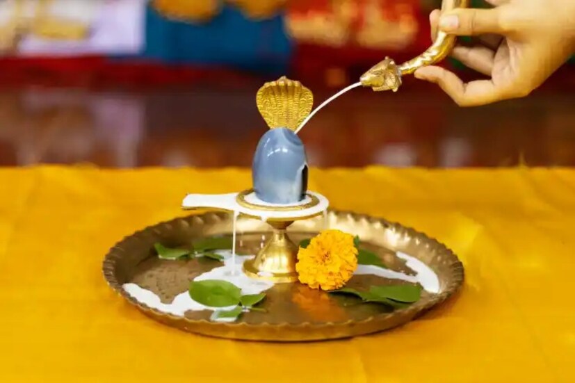 নতুন বাড়ি, বাহন বা গবাদি পশুলাভের স্বপ্ন পূরণ করার জন্য রুদ্রাভিষেক করুন দই দিয়ে৷