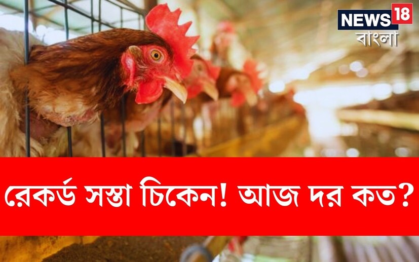 তুমুল সস্তা চিকেন! ফের বাজারে দাম কমল চিকেনের। বাঙালির রবিবারের বাজারে সস্তা হল মুরগির মাংস। গত কয়েকদিন ধরেই বাজারে চিকেনের দাম রয়েছে কম। রবিবারের বাজারে তা যেন আরও সস্তা।