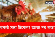 চিকেনের দরে 'রেকর্ড' পতন! একধাক্কায় ৩০ টাকা কমল দাম! মুরগির মাংসের রেট কত আজ?