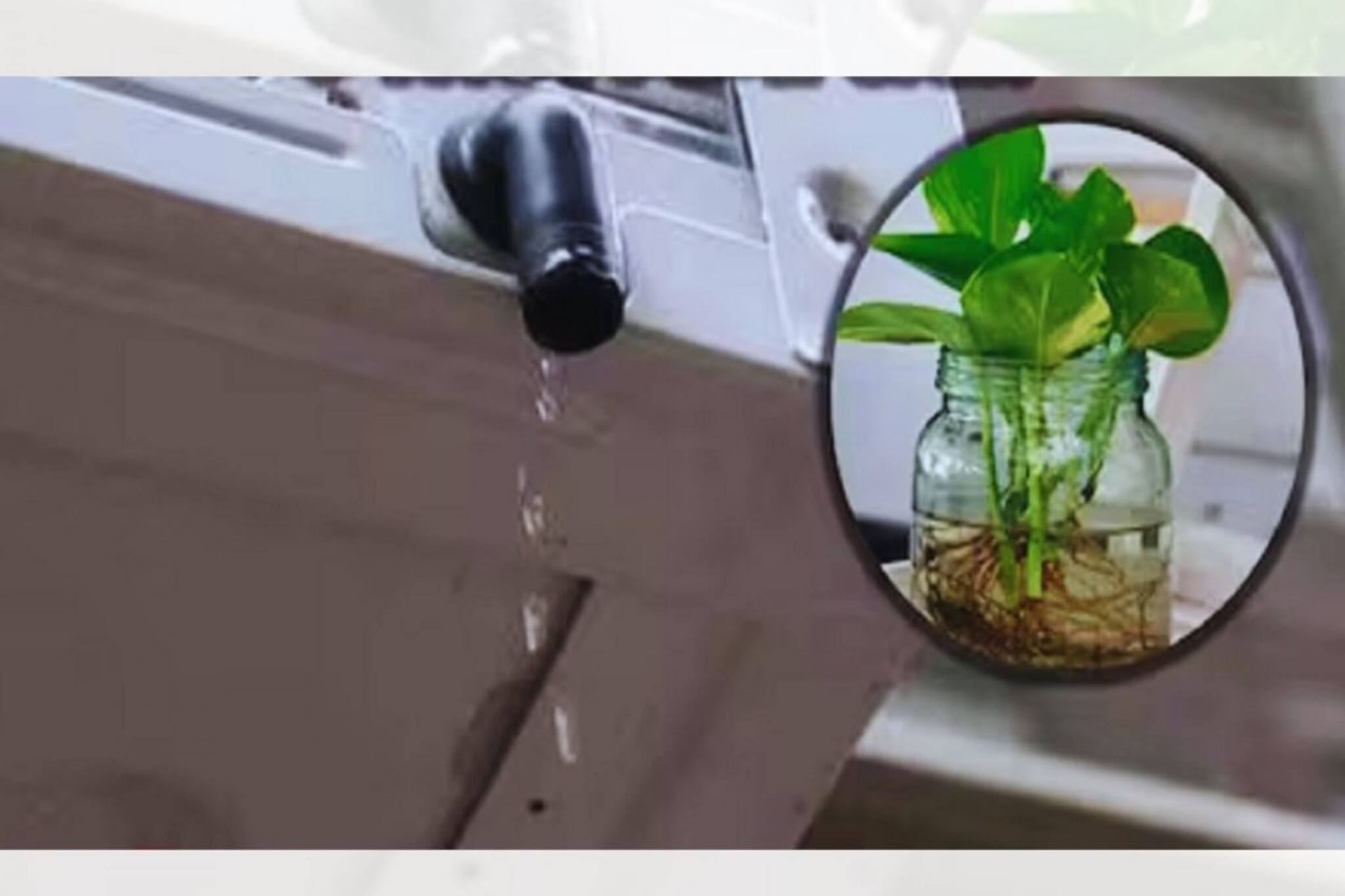 জল সংরক্ষণ জরুরি তো বটেই, তা এসির জল কি গাছে দেওয়া যাবে? কোনও ক্ষতি হবে না তো?