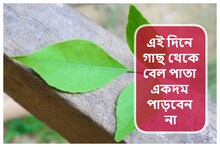 বেল পাতা ব্যবহারেরও আছে নিয়ম! সেই সব কথা জানেন কি, কী বলছে বাস্তুশাস্ত্র?