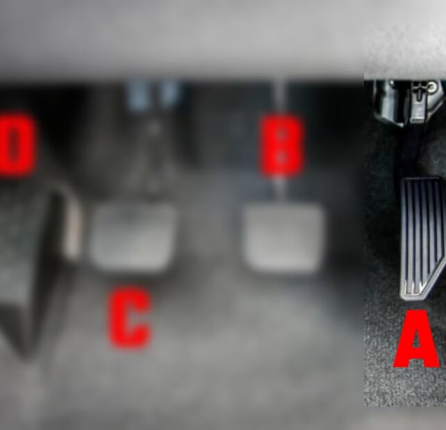 ড্রাইভিং শিখতে হলে অনেকগুলি বিষয় জানতে হয়। তবে এই ছবিগুলিতে আপনাদের A, B, C এবং D সাংকেতিক চিহ্নের মাধ্যমে বেসিক ব্যাপারগুলি বোঝানোর চেষ্টা করব আমরা। A, B, C এবং D শুধুমাত্র প্রতীকী হিসেবে থাকবে। 