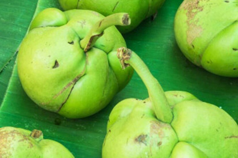 গ্রামবাংলায় এখনও এই ফলের রমরমা! যদিও শহুরে বাঙালিরা চালতা সহজে হাতে পান না। কিন্তু জানেন কি, এই ফলের যেমন স্বাদ, তেমনই এর গুণ।