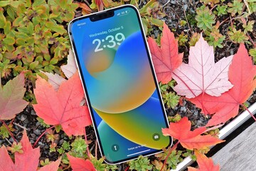লঞ্চ হতে চলেছে iPhone 15, এক নজরে দেখে নিন ফিচার! ফোনের দাম কত জানুন