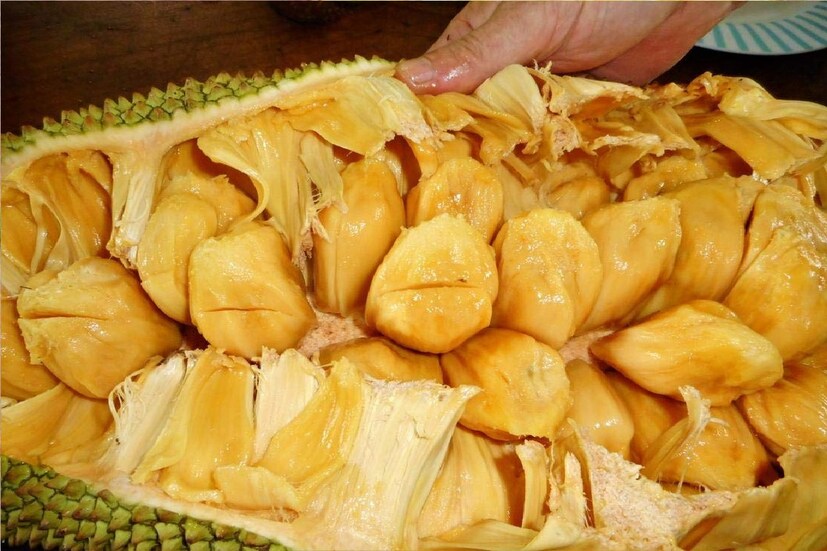 *রাঁচির ধুরওয়া পারস হাসপাতালের জেনারেল ফিজিশিয়ান ডা. অনুজ বলেন, কাঁঠালের বীজে অনেক ধরনের পুষ্টি উপাদান রয়েছে। তার মধ্যে অন্যতম হল ম্যাগনেশিয়াম, ফসফরাস, কপার, জিঙ্ক, পটাশিয়াম, সোডিয়াম, ভিটামিন-সি, ফলিক অ্যাসিড, ভিটামিন বি৬ ইত্যাদি। ফলে বোঝাই যাচ্ছে, এটা কতটা পুষ্টিকর। সংগৃহীত ছবি। 