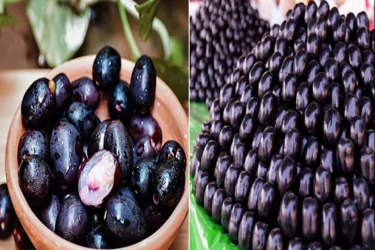 MonsoonTips বর্ষাকালে কাড়ি কাড়ি কালোজাম খাচ্ছেন নাকি? ঠিক করছেন না