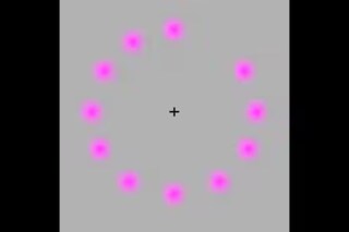 এ যেন ম্যাজিক! ভিডিও চালিয়ে যেখানেই চোখ থাকুক, ঘটবে আশ্চর্য ঘটনা, কী দেখছেন আপনি এ যেন ম্যাজিক! ভিডিও চালিয়ে যেখানেই চোখ থাকুক, ঘটবে আশ্চর্য ঘটনা, কী দেখছেন আপনি