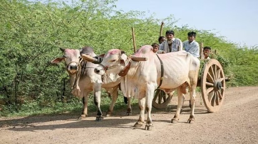 সমস্ত পিএম কিষাণ সুবিধাভোগীদের জন্য ই-কেওয়াইসি-র সময়সীমা চলতি মাসের শেষ পর্যন্ত বাড়ানো হয়েছে। এখনও ই-কেওয়াইসি না হয়ে থাকলে অবিলম্বে করার পরামর্শ দেওয়া হয়েছে।