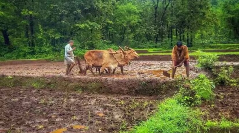 সত্যি বলতে কী, পিএম কিষাণের টাকা অ্যাকাউন্টে পাওয়ার জন্য কৃষকদের বেশ কিছু শ্য্ত মেনে চলতে হবে। যার মধ্যে অন্যতম হল ই-কেওয়াইসি। যাঁরা এটা এখনও পর্যন্ত করিয়ে উঠতে পারেননি, সেই সব কৃষকের অ্যাকাউন্টে টাকা আসার সম্ভাবনা নেই বলেই শোনা যাচ্ছে।