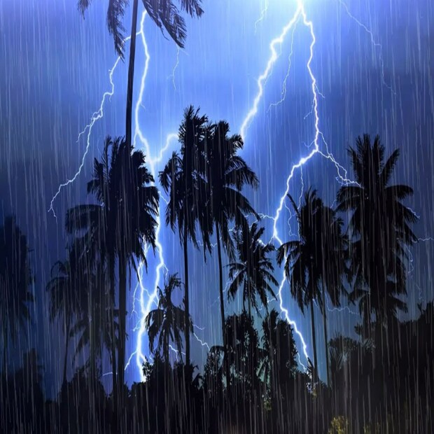 দক্ষিণবঙ্গের জেলায় জেলায় আজ বৃষ্টির পূর্বাভাস রয়েছে। উত্তর ২৪ পরগনা, দক্ষিণ ২৪ পরগনা, পূর্ব মেদিনীপুর, হাওড়া, কলকাতা, হুগলি, পুরুলিয়া, ঝাড়গ্রাম, পশ্চিম মেদিনীপুর, বাঁকুড়া, পশ্চিম বর্ধমান, পূর্ব বর্ধমান, বীরভূম, মুর্শিদাবাদ এবং নদিয়ায় হালকা থেকে মাঝারি বৃষ্টি হতে পারে আজ।