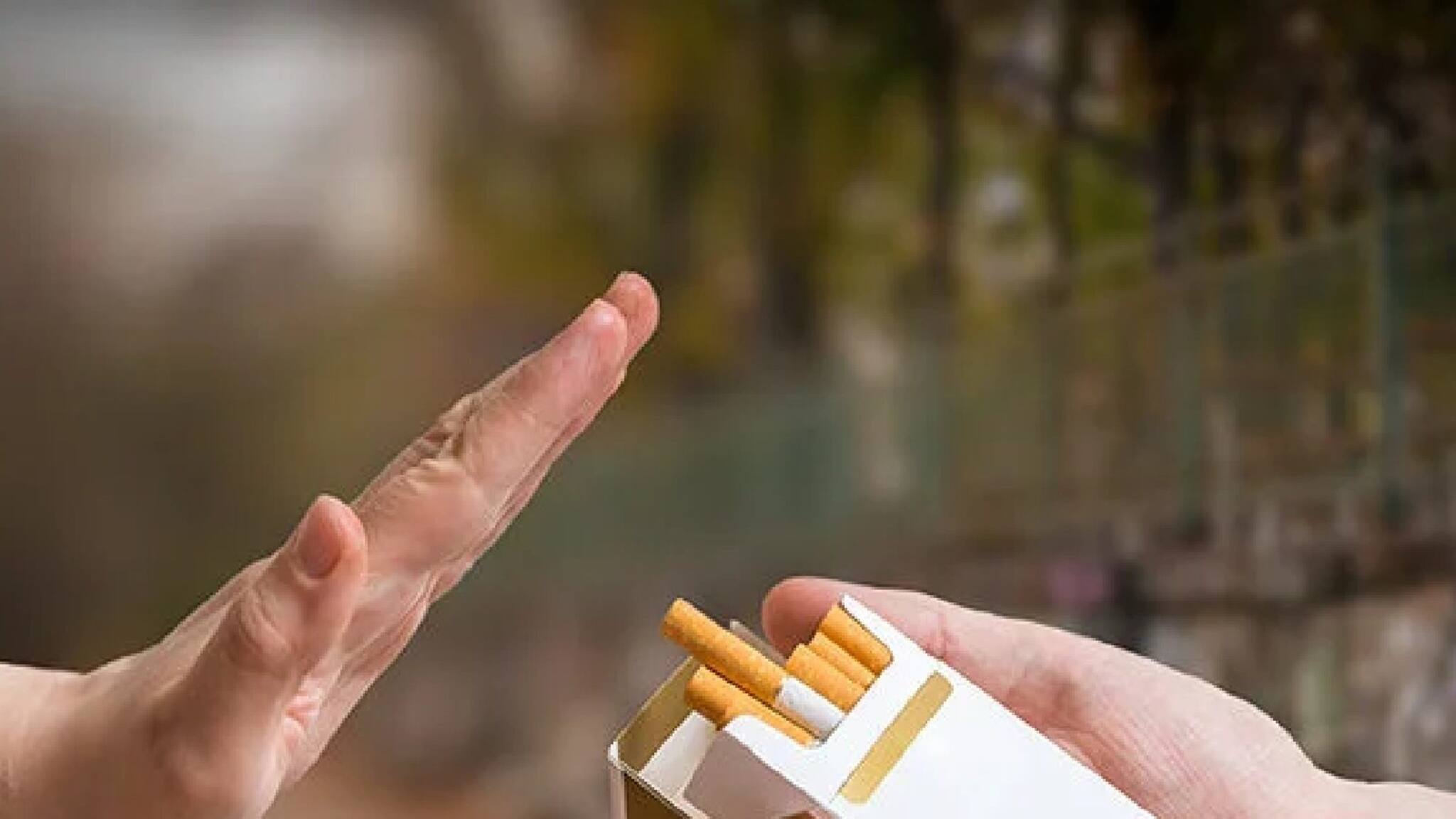 বিড়ি, সিগারেট দেদার টানছেন? কানের ভয়ঙ্কর ক্ষতি! কী বলছেন বিশেষজ্ঞ, শুনুন