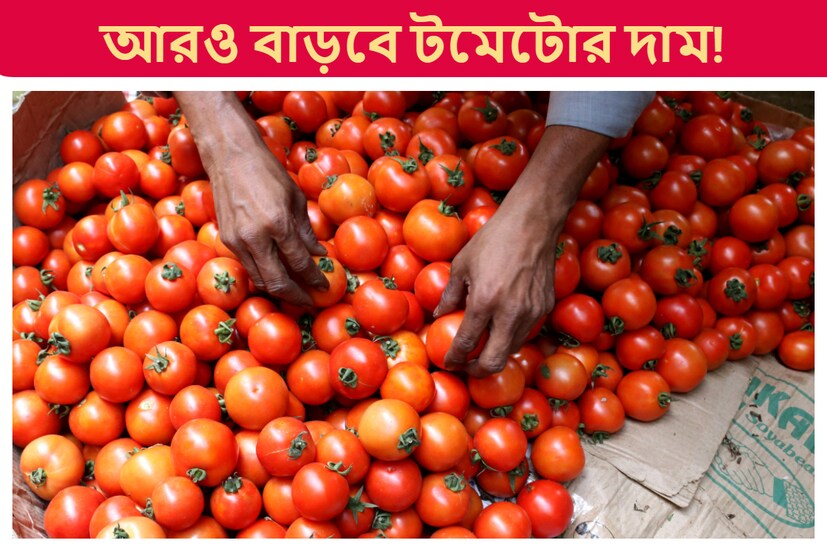 মাদার ডেয়ারি তার খুচরা বিক্রেতাদের মাধ্যমে বুধবার প্রতি কেজি ২৫৯ টাকায় বিক্রি করেছে রান্নাঘরের এই প্রধান প্রয়োজনীয় সবজিটি।