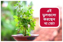 বাড়িতে তুলসী গাছ, তা-ও অর্থকষ্ট! এই ভুলগুলো করছেন না তো? রুষ্ট হন মা লক্ষ্মী
