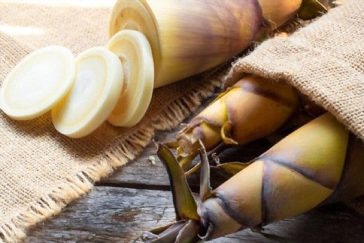 বাঁশ দিয়ে তৈরি এই আচার, খেলে বাড়ে শিশুদের উচ্চতা, পালায় বাতের ব্যথাও বাঁশ দিয়ে তৈরি এই আচার, খেলে বাড়ে শিশুদের উচ্চতা, পালায় বাতের ব্যথাও