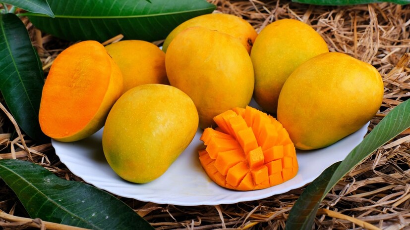 আম- গর্ভাবস্থায় আম খাওয়া শরীরের পক্ষে অত্যন্ত উপকারী। এই সময়ে, আম খেলে শরীরে বেড়ে ওঠা ভ্রূণের বিকাশ ভাল হয়। আমে উপস্থিত ফলিক অ্যাসিড গর্ভবতী মহিলাদের স্বাস্থ্যের জন্য খুবই ভাল। আম খেলে শরীরে ভিটামিন ‘বি৬’ এর অভাব পূরণ হয়। এছাড়াও ভিটামিন-সি সমৃদ্ধ আম খেলে রোগ প্রতিরোধ ক্ষমতাও বৃদ্ধি পায়, যা সুস্থ প্রসবের সম্ভাবনা বাড়ায়।