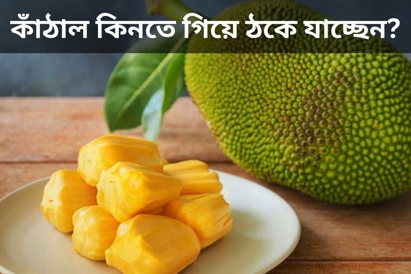 বর্ষা এলেই নেচে ওঠে কাঁঠাল প্রেমিদের মন৷ সুগন্ধী এই ফলের কদর দেশজোড়া৷ কিন্তু মুশকিল হয় কাঁঠাল কিনতে গিয়ে৷ খাজা ভেবে বেশিরভাগ সময়েই খারাপ কাঁঠাল কিনে আনেন অনেকে৷ কাঁঠালের ক্ষেত্রে এই ভুল হয় বেশি৷ 