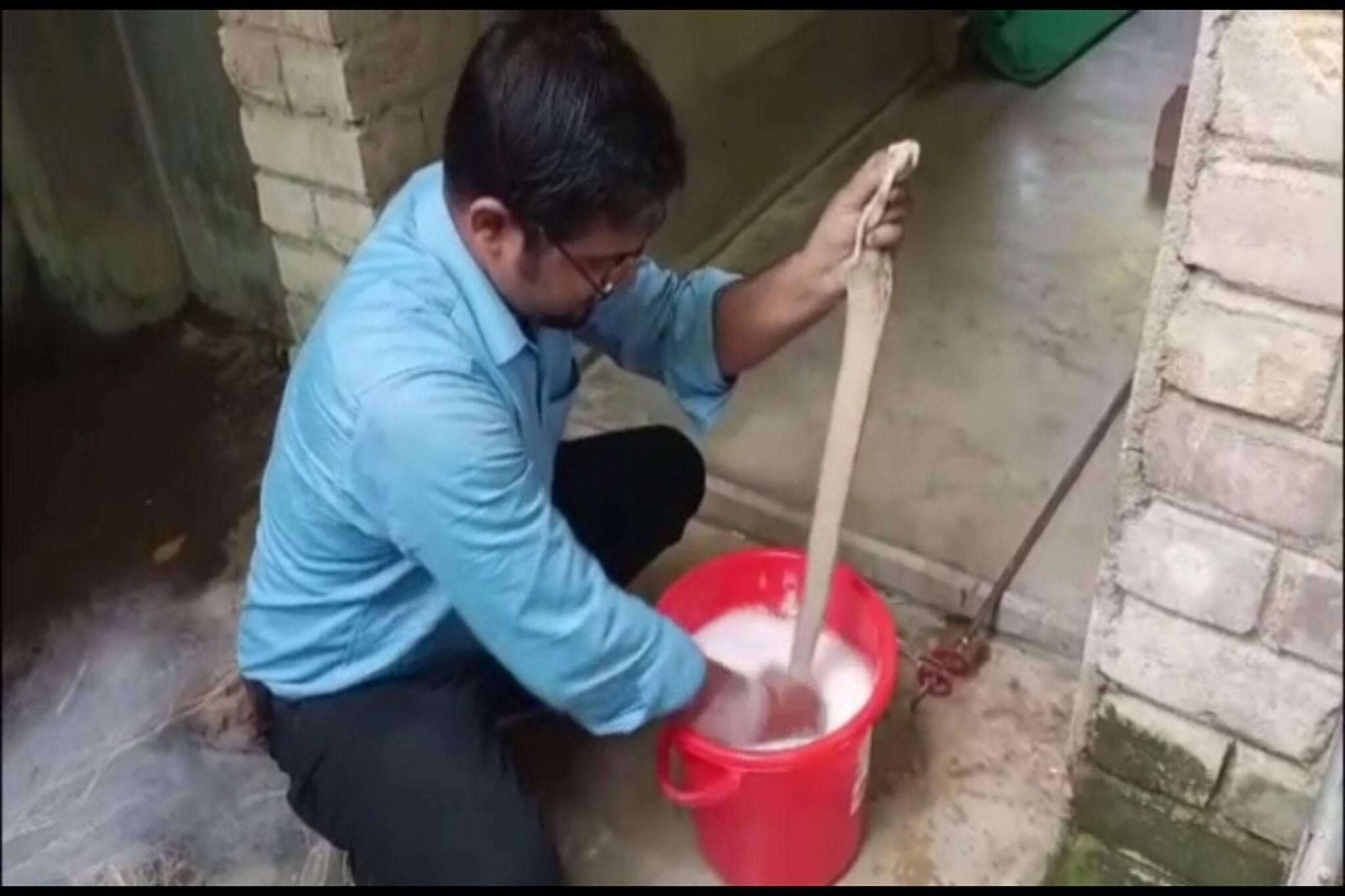 কার্বলিক অ্যাসিডে ঝাঁঝরা গোখরোকে ডিটারজেন্ট গোলা জলে ডোবাতেই চাঙ্গা!