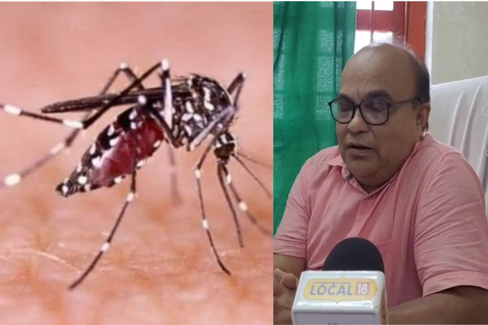 West Midnapore News: ফের বাড়ছে ডেঙ্গির প্রকোপ! আক্রান্ত হলে কী করা উচিত? পরামর্শ দিলেন বিশিষ্ট চিকিৎসক