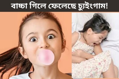 বাচ্চা গিলে ফেলেছে চ্যুইংগাম! কোন সর্বনাশ হতে পারে? কী করা উচিত? জেনে নিন ডাক্তারের পরামর্শ