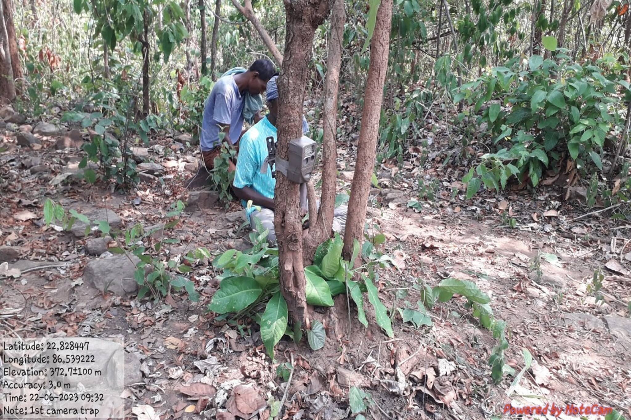 দুই মানুষ খেকো ঘুরছে পুরুলিয়ার জঙ্গলে! ক্যামেরায় ধরা পড়ল ভয়াবহ দৃশ্য!