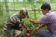 সুন্দরবনকে বাঁচাতে এগিয়ে এল বিএসএফ