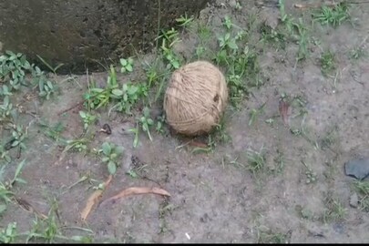 বিজয় উৎসবেও অশান্তির কালোছায়া! ফের বোমাবাজি বাসন্তীতে বিজয় উৎসবেও অশান্তির কালোছায়া! ফের বোমাবাজি বাসন্তীতে