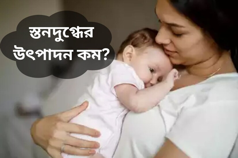 নারী জীবনের একটি গুরুত্বপূর্ণ অধ্যায় হল সন্তানের জন্ম দেওয়া৷ গর্ভাবস্থায় এবং সন্তানের জন্মের পর সদ্যোজাতটির খাওয়াদাওয়াও সম্পূর্ণ ভাবে মায়ের ওপর নির্ভরশীল৷ তাই যেসব মায়েরা সন্তানকে স্তন্যপান করান তাঁদের স্বাস্থ্যের প্রতি বিশেষ নজর দেওয়া জরুরি। সঠিক খাওয়ারের অভাবে মা এবং বাচ্চা দুজনেরই শারীরিক ক্ষতি হতে পারে৷ 