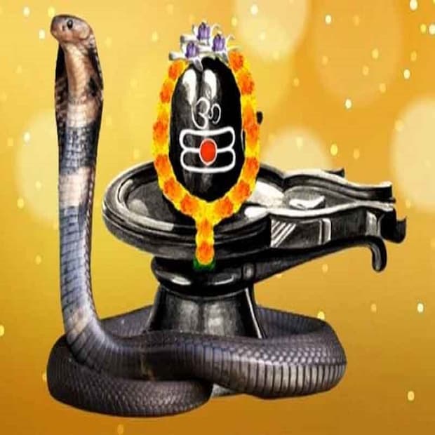 এই বছরের ২১ অগাস্ট সোমবার সকাল ১২টা ১১ মিনিট থেকে শুরু হবে হিন্দুদের অন্যতম গুরুত্বপূর্ণ উত্‍সব। শেষ হবে পরের দিন, ২২ অগাস্ট, দুপুর ২টোয়। উদয়তিথির ভিত্তিতে এ বছর ২১ অগস্ট সোমবার পালিত হবে নাগ পঞ্চমী। এই উত্‍সবকে শ্রাবণ সোমব্রতও বলা হয়ে থাকে।