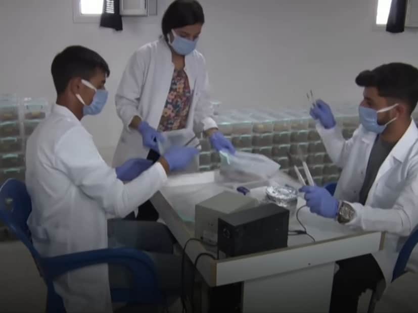 কাঁকড়াবিছের এক লিটার বিষের দাম এক কোটি ডলার। অর্থাৎ, প্রায় ৮২ কোটি টাকা৷ একটি কাঁকড়াবিছে থেকে প্রায় ২ মিলি বিষ বের করা যায়। এক মিলি লিটারের দামই প্রায় সাড়ে ৮ লক্ষ টাকা 