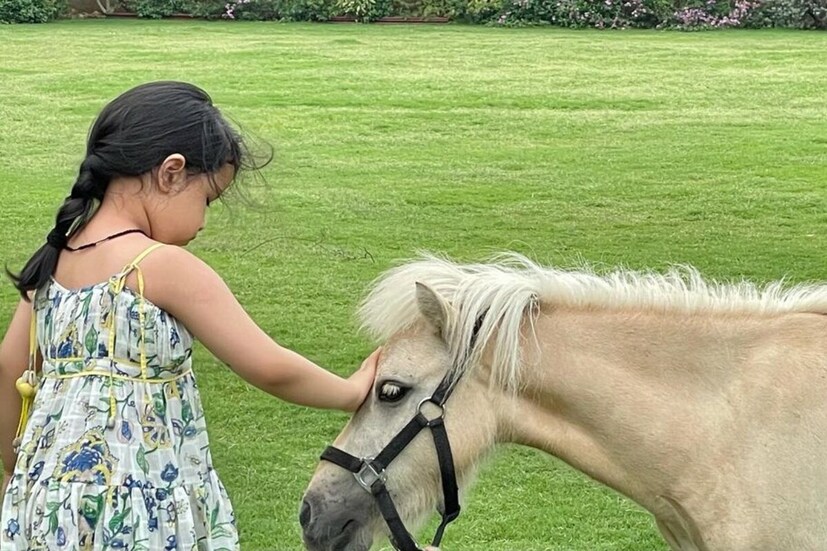 যেহেতু দেশের শীর্ষ বিদ্যালয়গুলির মধ্যে একটি এই স্কুল, স্বভাবতই তাই এই স্কুলের ফিও অনেক বেশিই হবে। স্কুলের ওয়েবসাইটে দেওয়া তথ্য অনুসারে, এলকেজি থেকে ক্লাস 1 এর জন্য এখানে বার্ষিক ফি ২,৫০,০০০ টাকা।