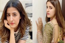 বোন নুপূরের 'টাইগার ভালবাসা'-র কথা জানালেন দিদি কৃতি শ্যানন! সোশ্যাল মিডিয়ায় ঝড়!