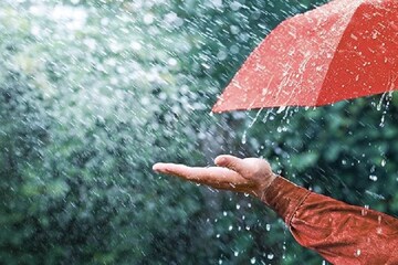 বৃষ্টির সঠিক ইংরেজি কি? Rain নয় কিন্তু! ৯৯ শতাংশ মানুষ ভুল জানেন!