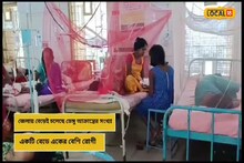 এক একটি বেডে দু'জন করে ডেঙ্গি আক্রান্ত রোগী! নদিয়ায় হু-হু করে বাড়ছে ডেঙ্গি!