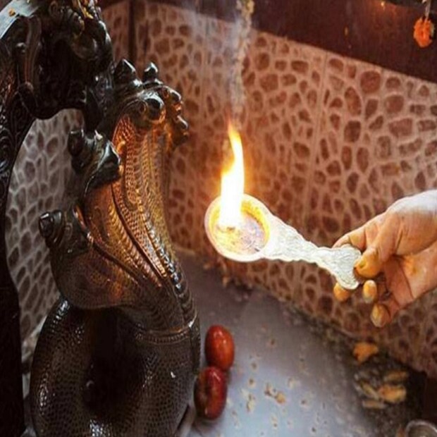 ভারতীয় জ্যোতিষশাস্ত্র অনুসারে মনে করা হয়, যদি কোনও জাতক বা জাতিকার জন্মকুণ্ডলীতে কালসর্প দোষ থাকে তা তাঁর জীবনে ভয়াবহ হয়ে দেখা দিতে পারে। অথচ, এই দোষ আছে এমন জাতক-জাতিকা যদি নাগপঞ্চমীর দিন নাগপূজা করেন, তাহলে সেই কালসর্প দোষ থেকে মুক্তি পেতে পারেন।