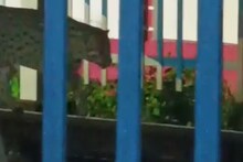 রেল লাইনে ঘোরাফেরা করছে ওটা কী? বাঘ? হাওড়ায় আতঙ্ক! ভাইরাল ভিডিও