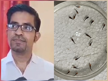 বাঙালি