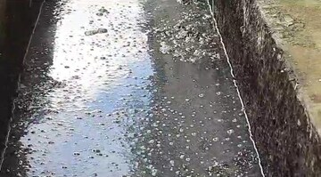 হাসপাতাল