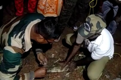 লোকালয়ে কুমির