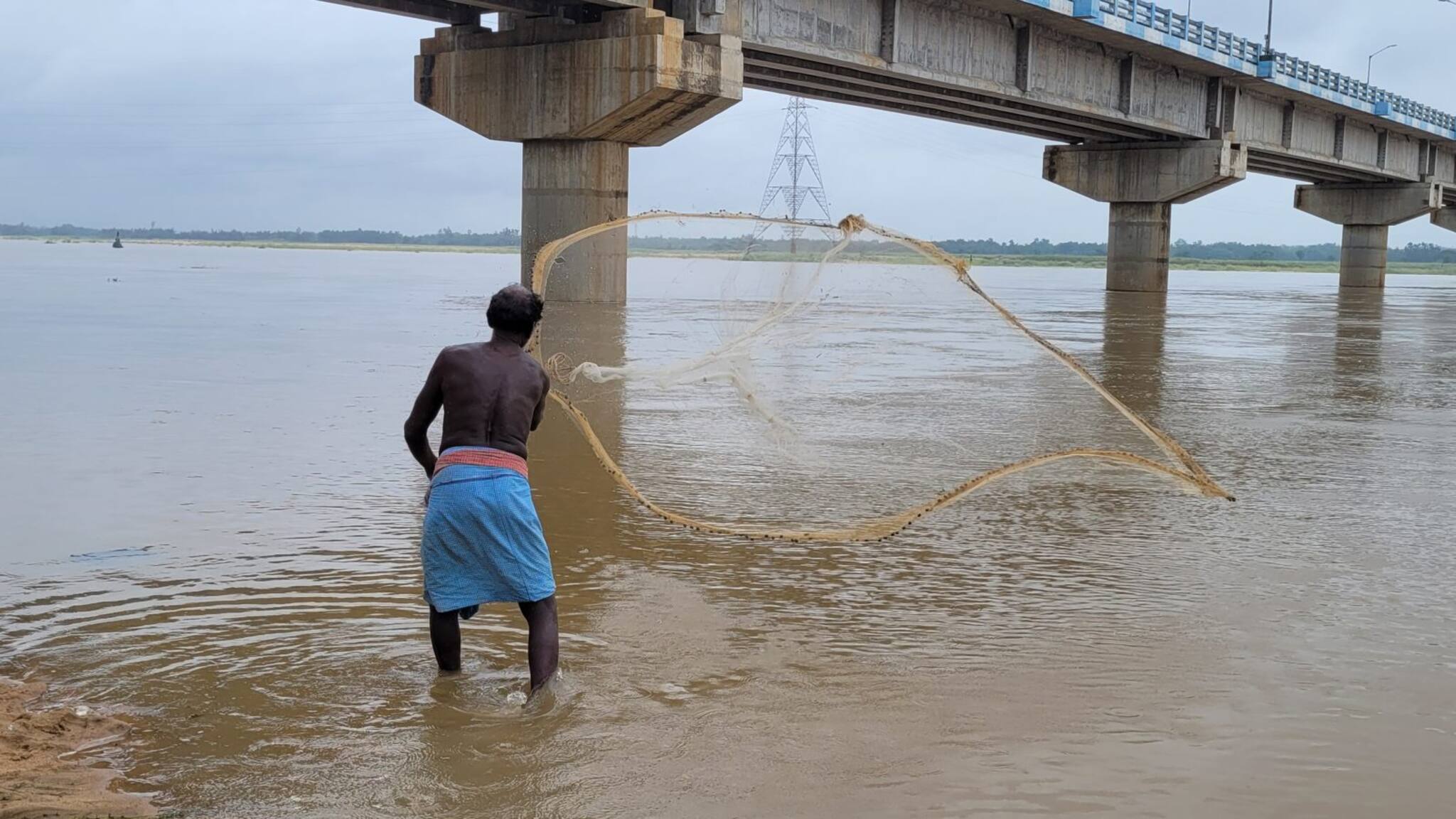 Jhargram News: ভরা সুবর্ণরেখা নদীতে চলছে হাতজালে মাছ ধরা