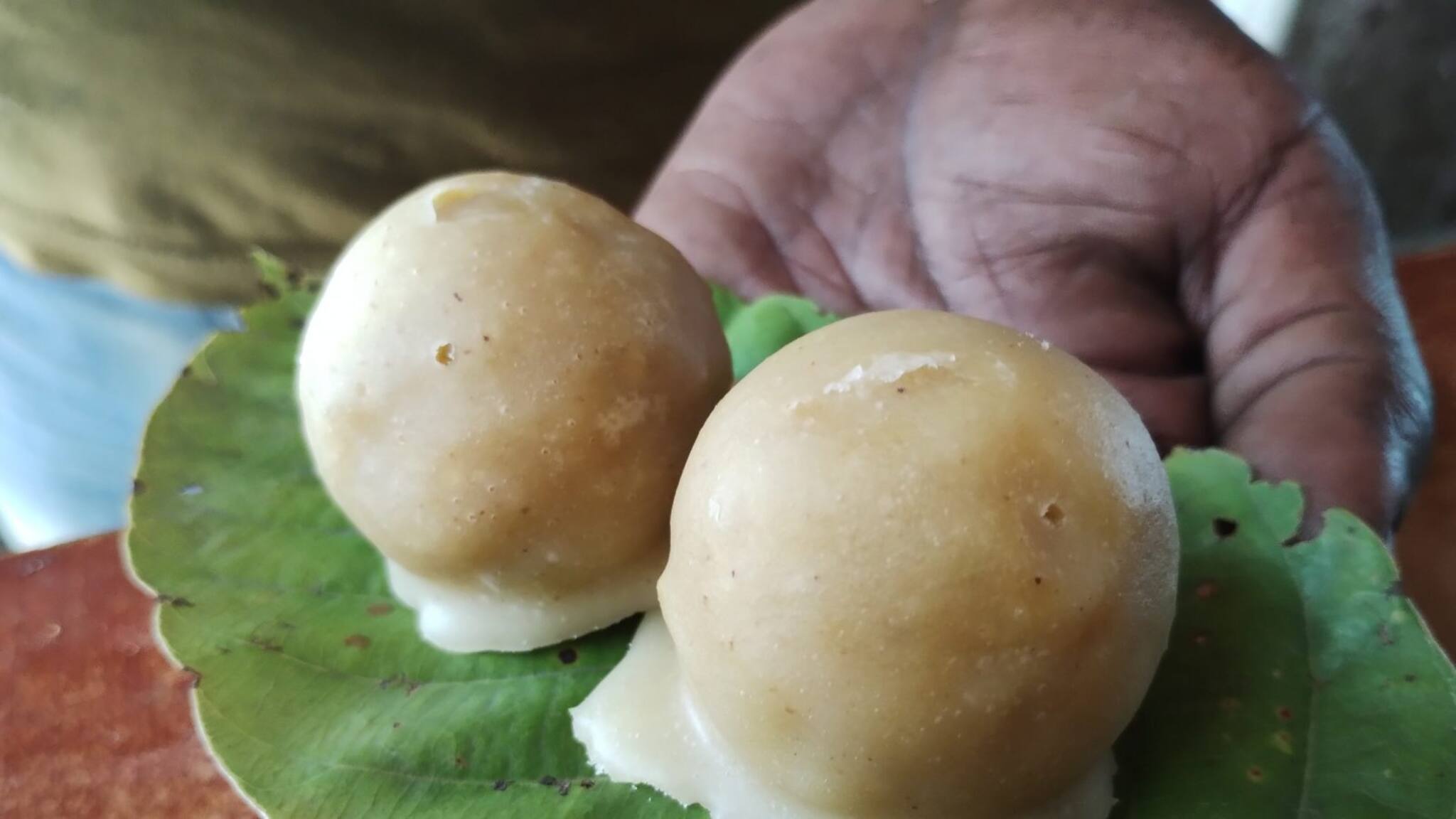 Geographical Identification for Mecha Sandesh: বাঁকুড়ার মেচা সন্দেশের অগ্নিপরীক্ষা! কী রয়েছে এই বিখ্যাত মিষ্টির ভাগ্যে, অপেক্ষায় খাদ্যরসিকরা