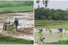 বহু অপেক্ষার পর দেখা মিলল তার, খুশিতে ডগমগ চাষীরা!