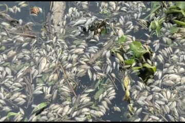 নদীর