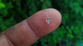 চালের উপর ক্ষুদিরামের ছবি