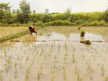চলছে