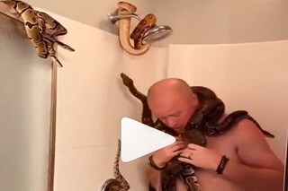 Viral Video 