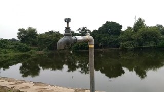 সাতদিনে মৃত তিন!