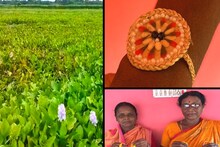 কচুরিপানার রাখি! পরাতে পারেন ভাইকে, দিতে পারেন গিফটও কিভাবে তৈরি হচ্ছে দেখুন